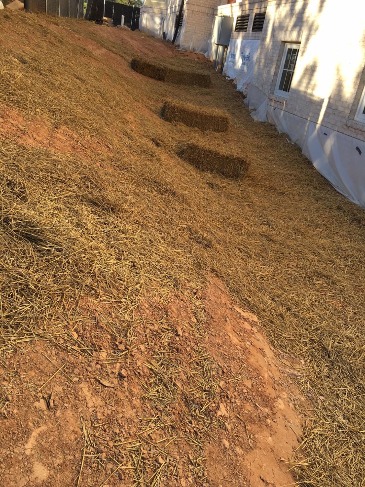 3 April 2016 Leadership Drive side no mud